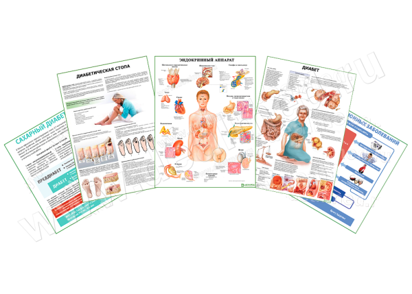 Набор плакатов