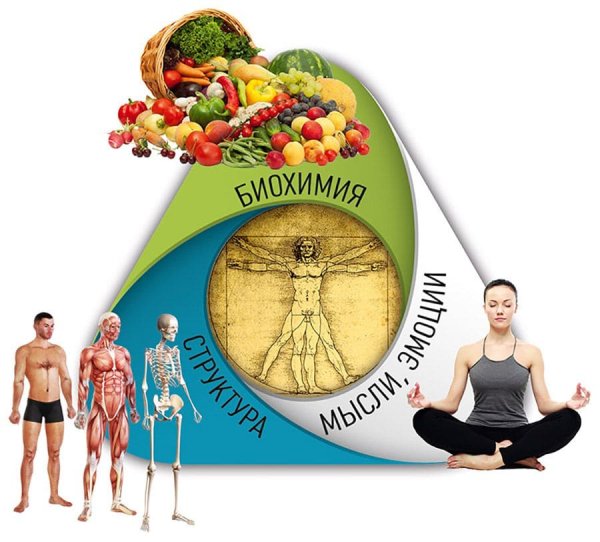 Прикладная кинезиология