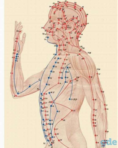 Акупунктура меридианы китайская медицина