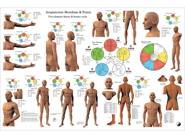 Акупунктура тела человека плакат