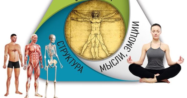 Гудхарт Прикладная кинезиология