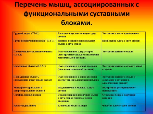 Ассоциативные связи органы и мышцы