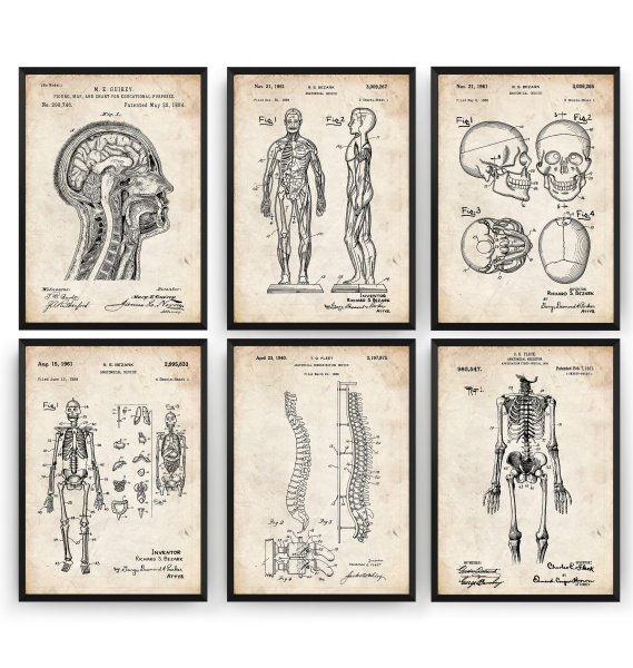 Плакаты по акушерству