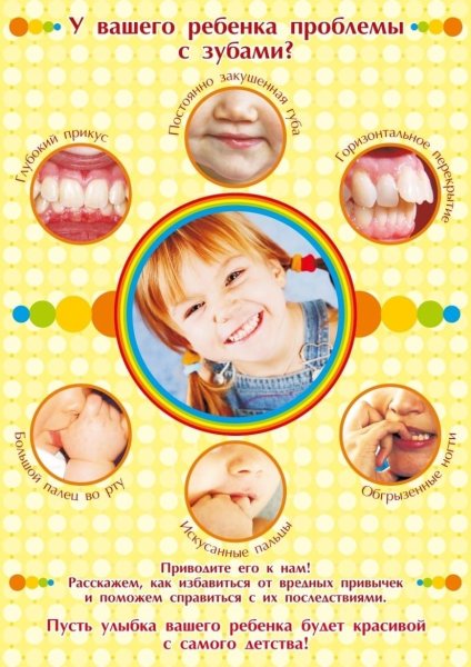 Анатомия зубов плакат