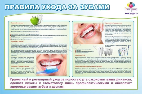 Плакаты зубов