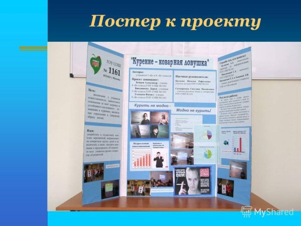 Дипломные работы графических дизайнеров