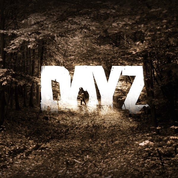 DAYZ ярлык