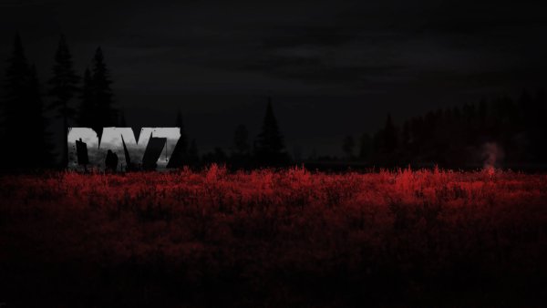 Шапка DAYZ
