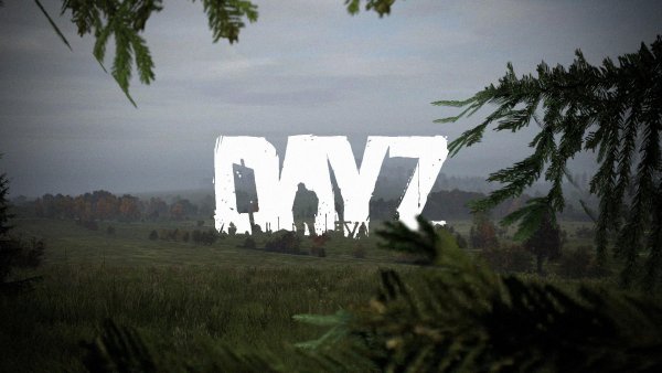 DAYZ картинки