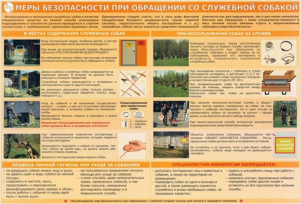 Учебные плакаты кинология