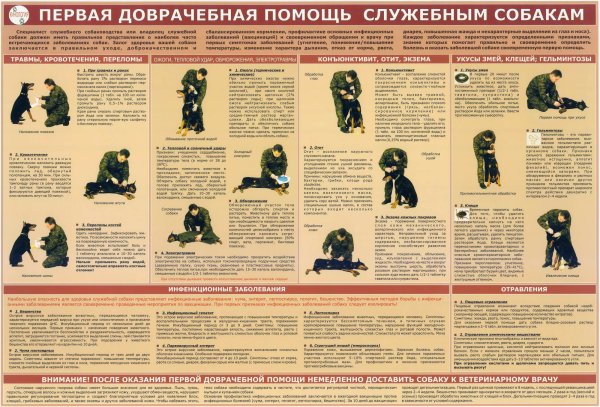 Применение служебных собак плакат