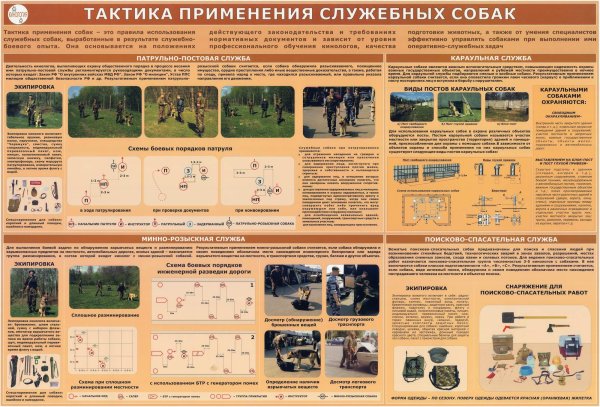 Плакаты для содержания служебных собак