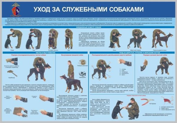 Стенды по кинологии