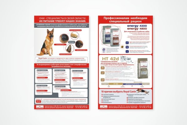 Стенд по служебному собаководству