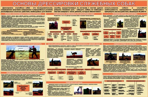 Стенды по кинологии