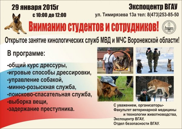 Квалификация кинолога