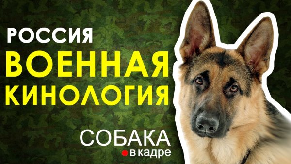 Пограничные плакаты