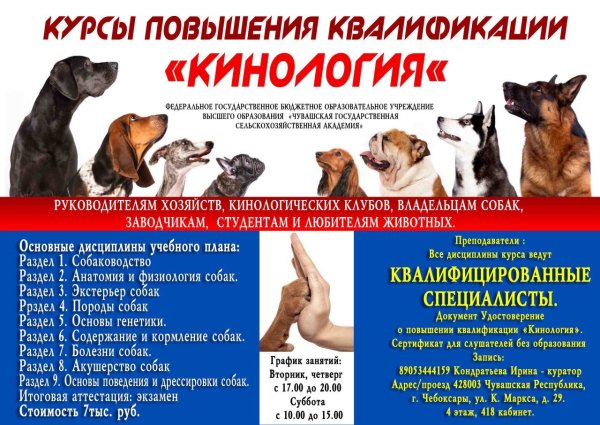 Тетрадь кинолога