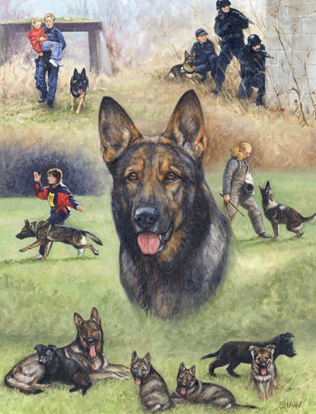 Служебные собаки кинологического подразделения