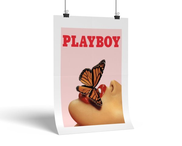 Трогательные постеры плейбой