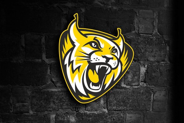 Хк Северсталь