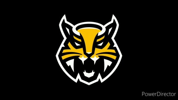 Эмблема хк Северсталь Череповец