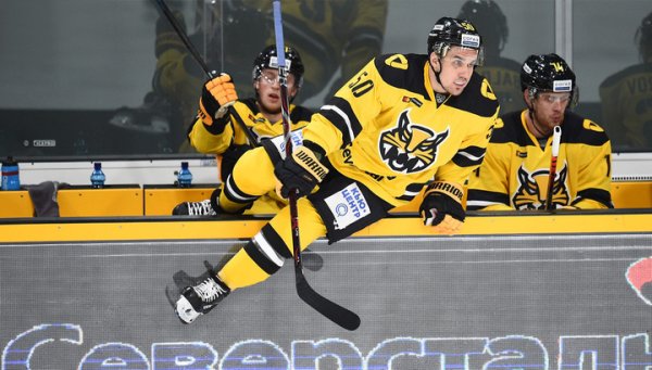 Северсталь логотип хоккей