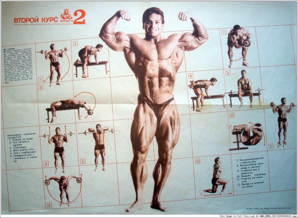 Книга Джо Вейдера система строительства тела