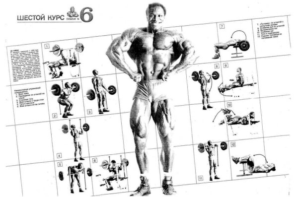 Система упражнений Джо Вейдера