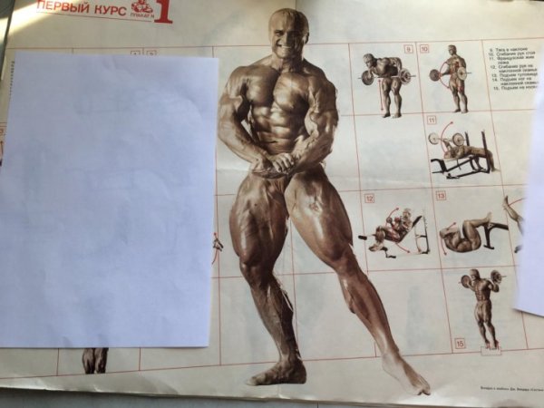 Плакаты культуристов