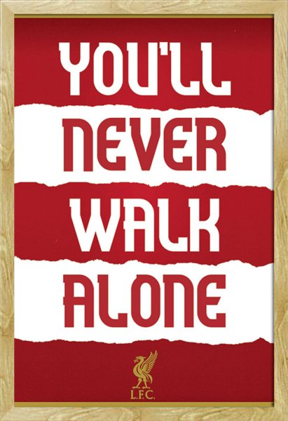 Символ Ливерпуля птица печень