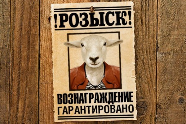 Их разыскивает полиция