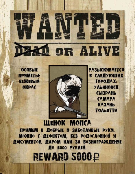 Постер разыскивается