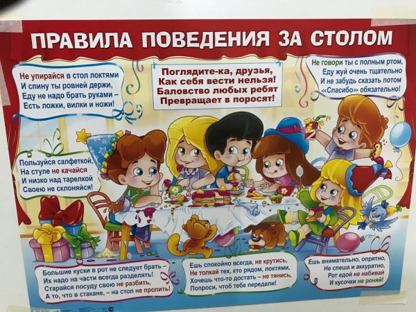 Безопасное поведение на природе