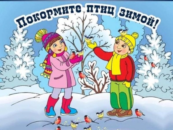 Накорми зимующих птиц плакат