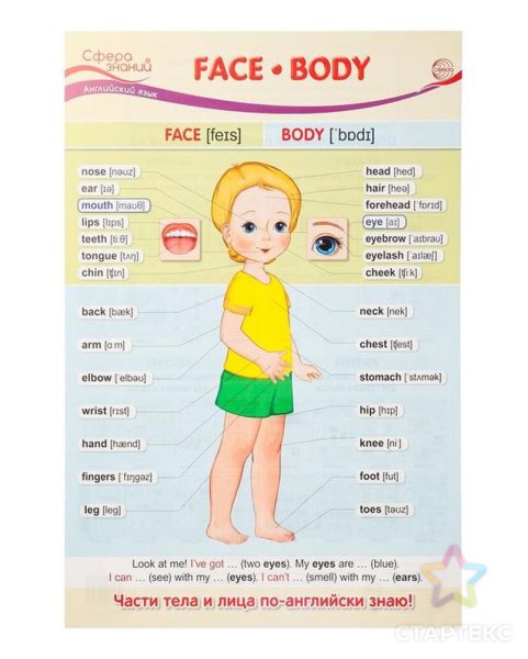 Афиша концерта face