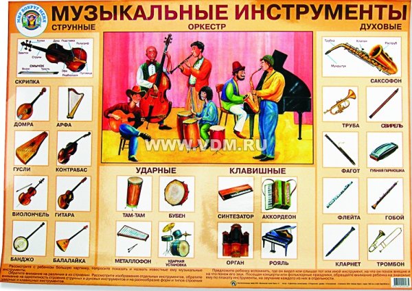 Много музыкальных инструментов