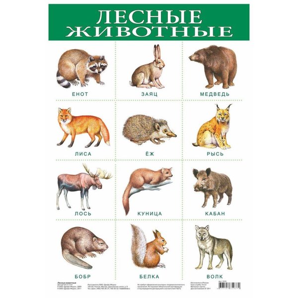 Дикие животные для детей