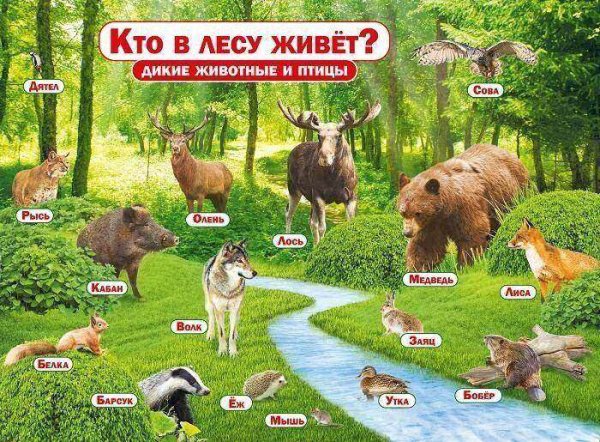 Плакат с дикими животными