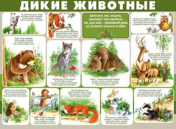 Плакат Дикие животные для детей