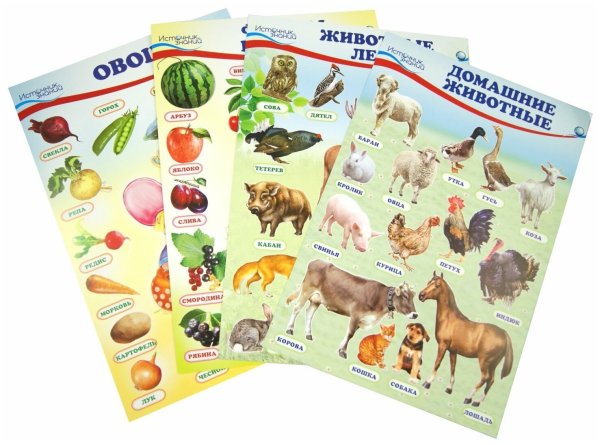 Развивающие плакаты