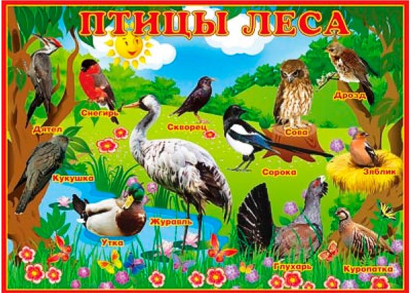 Зимующие птицы России