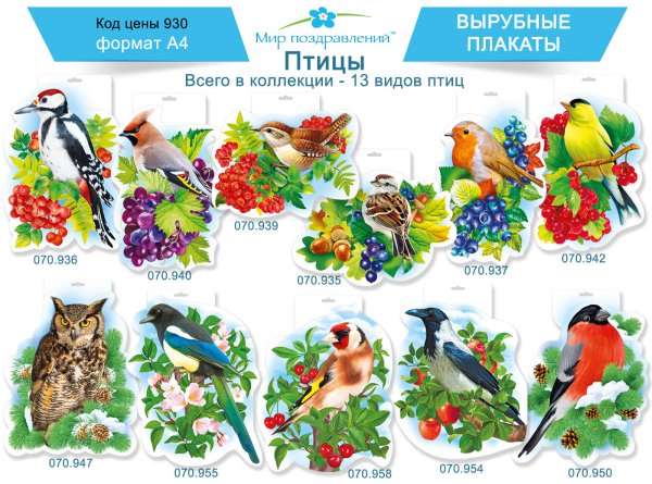 Перелетные и зимующие птицы России