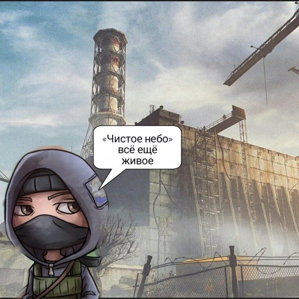 Сталкер чистое небо аниме