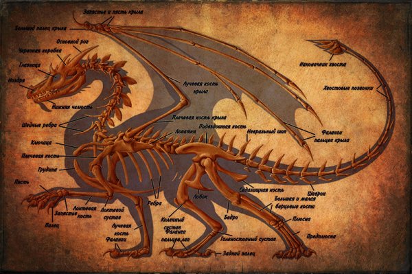 Постер как приручить дракона