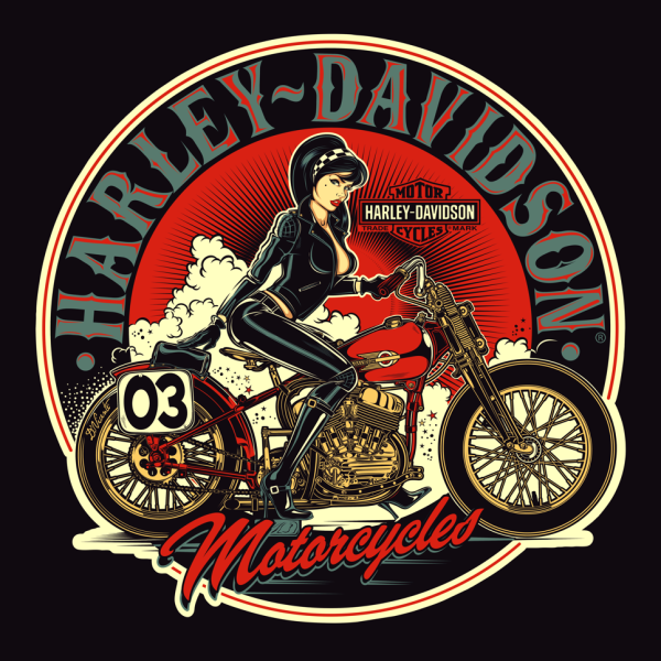 Мото Харлей дэвидсоньлого