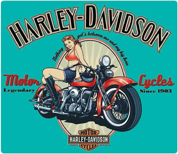 Постер мотоцикл Харлей Дэвидсон