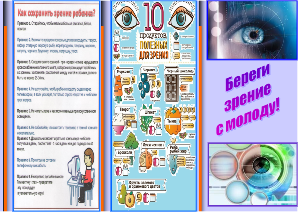 Строение глазного яблока анатомия