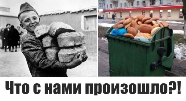 Лозунги сельского хозяйства