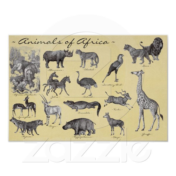 Плакат Африка